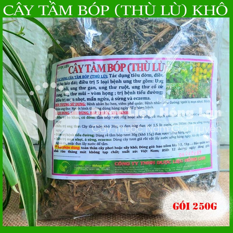 ✅ Trà Cây Tầm Bóp  khô sạch tự nhiên - duoclieuhonglan