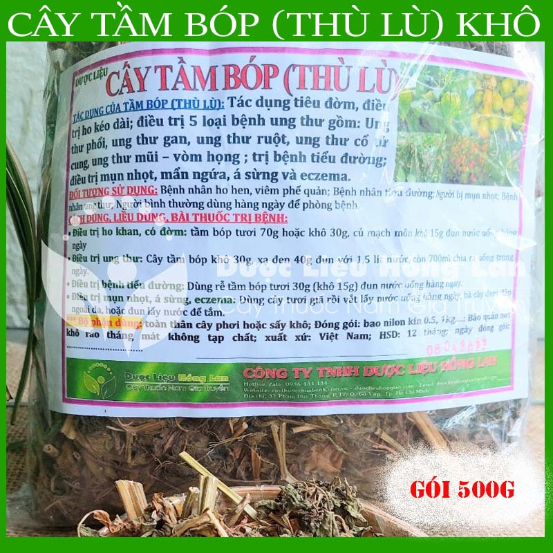 ✅ Trà Cây Tầm Bóp  khô sạch tự nhiên - duoclieuhonglan