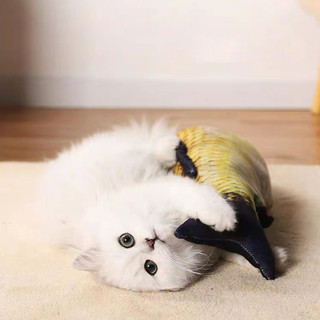Đồ chơi cá giả dành cho mèo cưng