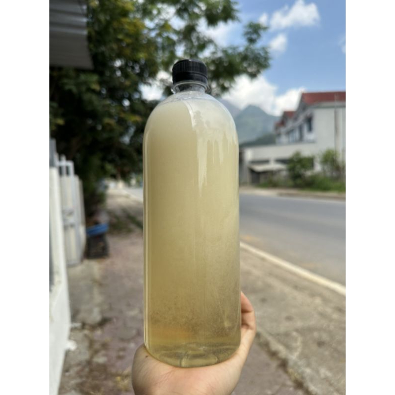 Mật ong trắng