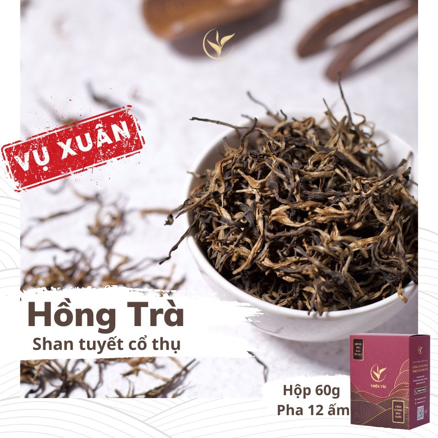 Hồng Trà Shan Tuyết Cổ Thụ Thiện Tài Trà Cổ Thụ Hà Giang Vụ Xuân Loại 1 Tôm 1 Lá Hộp Quà Tặng Hảo Hạng