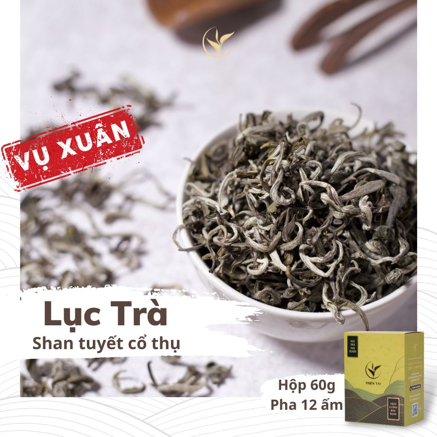 Lục Trà Shan Tuyết Cổ Thụ Thiện Tài Trà Cổ Thụ Hà Giang Vụ Xuân Loại 1 Tôm 1 Lá Hộp 60gram Hảo Hạng Biếu Tặng