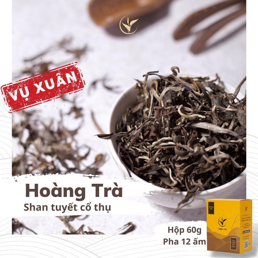 Hoàng Trà Shan Tuyết Cổ Thụ Thiện Tài Trà Cổ Thụ Hà Giang Vụ Xuân Một Tôm Một Lá Hộp Quà Tặng Hảo Hạng 60g