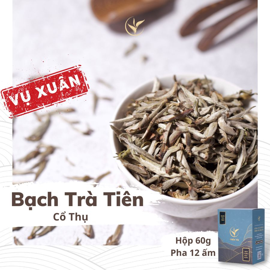 Bạch Trà Tiên Vụ Xuân Trà Cổ Thụ Thiện Tài Búp Trà Cổ Thụ Hà Giang Hộp 60gram Hảo Hạng Biếu Tặng