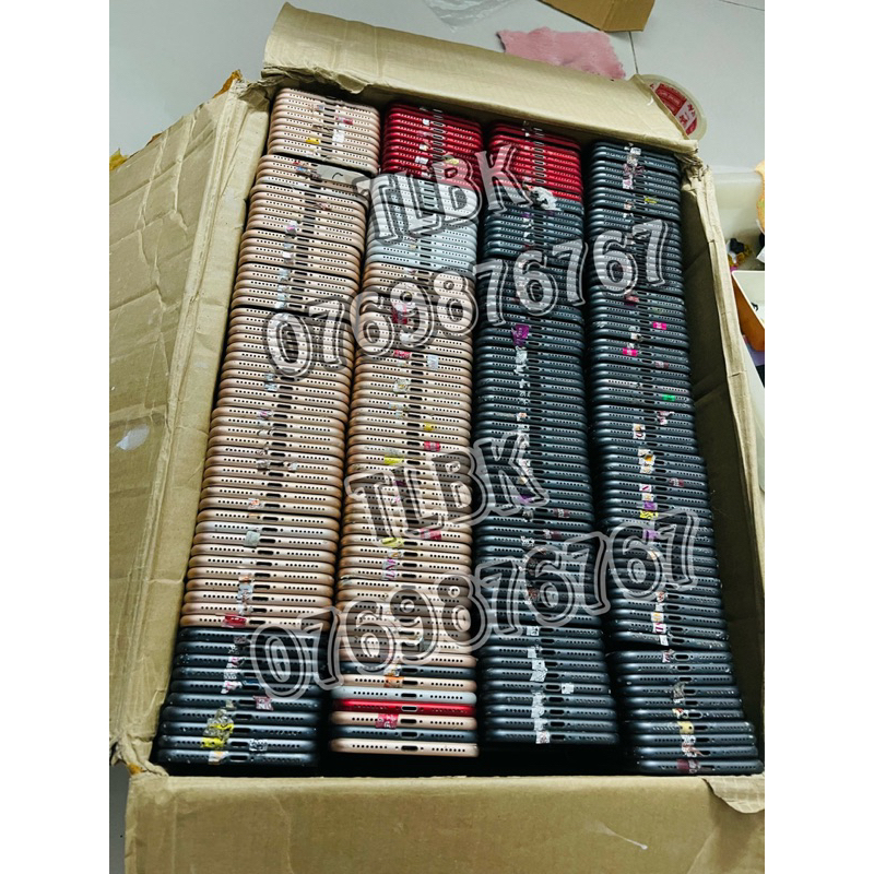 VỎ SƯỜN TÁM CỘNG CAM KẾT Zdzin BÓC 95-97% CŨ SẠCH TUYỂN LÀNH