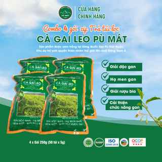 Combo 4 Trà túi lọc Cà Gai Leo Dược liệu Pù Mát mát gan 250g (Gói zip 50 túi x5g)