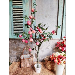 Cây táo trang trí cực kỳ giống thật- giúp căn nhà thêm xinh