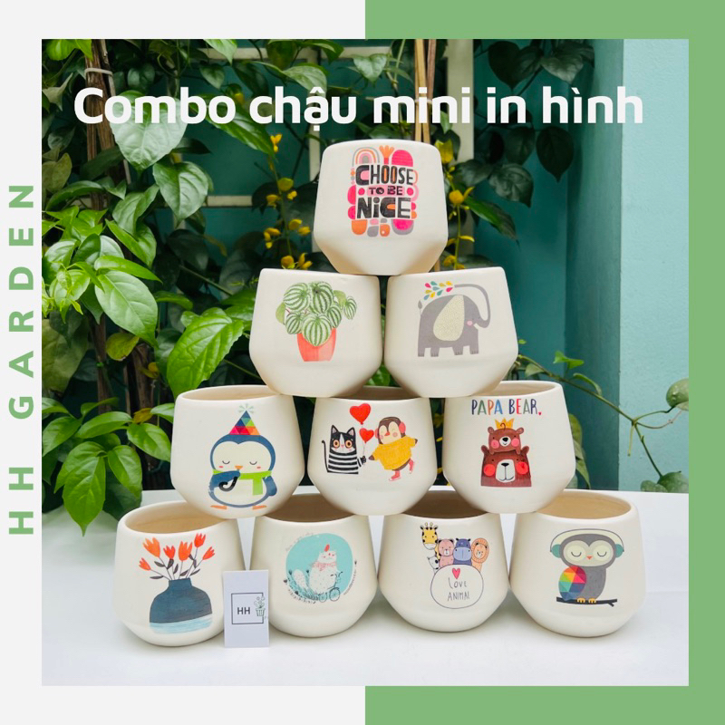 (Mới) Combo 8 chậu gốm trồng cây sen đá, xương rồng, cây cảnh mini để bàn in hình siêu xinh
