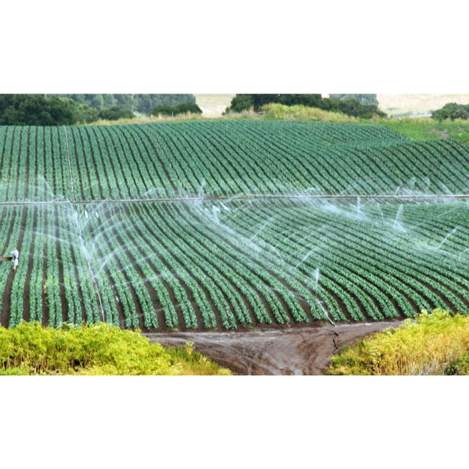 100m Ống HDPE 20mm dùng trong hệ thống tưới tự động nhựa HDPE nguyên sinh 100%, độ bền cao. Màu đen.