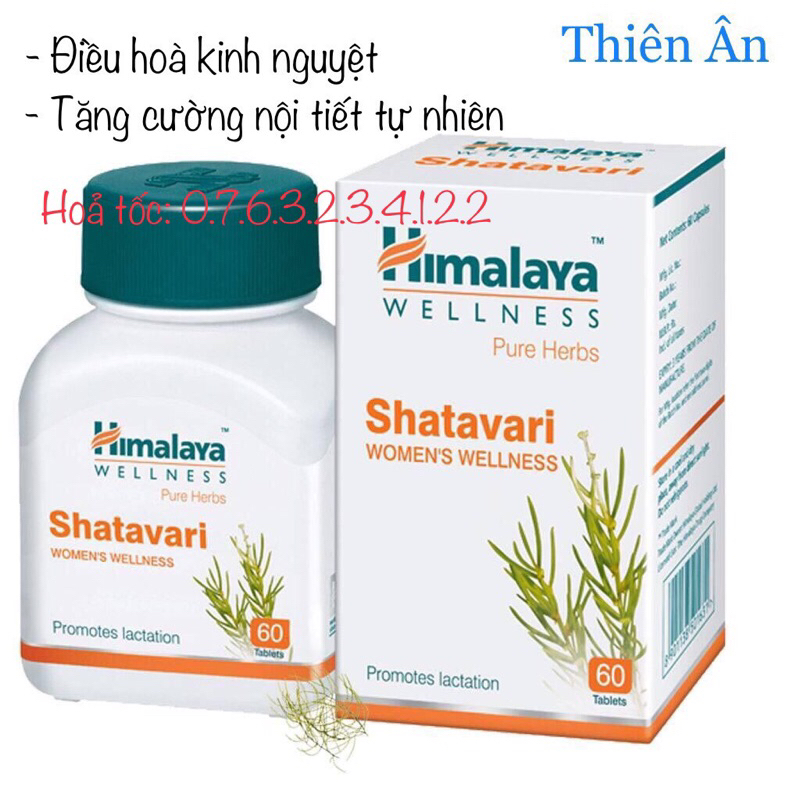 Viên uống điều kinh cân bằng nội tiết Shatavari Himalaya - Hộp 60v