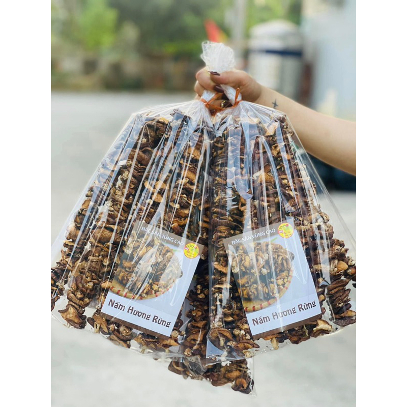 Nấm Hương Rừng Khô Lai Châu Túi 500G Thơm, Ngon Giàu Dinh Dưỡng, Đặc Sản Tây Bắc