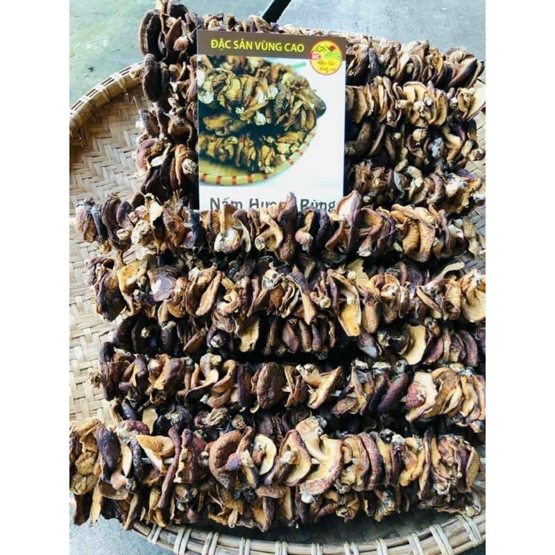 Nấm Hương Rừng Khô Lai Châu Túi 500G Thơm, Ngon Giàu Dinh Dưỡng, Đặc Sản Tây Bắc