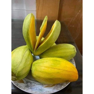 SHIP HOẢ TỐC XOÀI HẠT LÉP AN GIANG SIÊU NGON