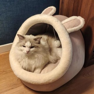 Nhà lồng tai thỏ cho mèo tặng đồ chơi bình sữa nhồi bông 20cm