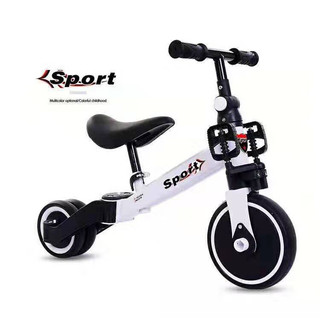 Xe thăng bằng cao cấp AS-006 (M250)