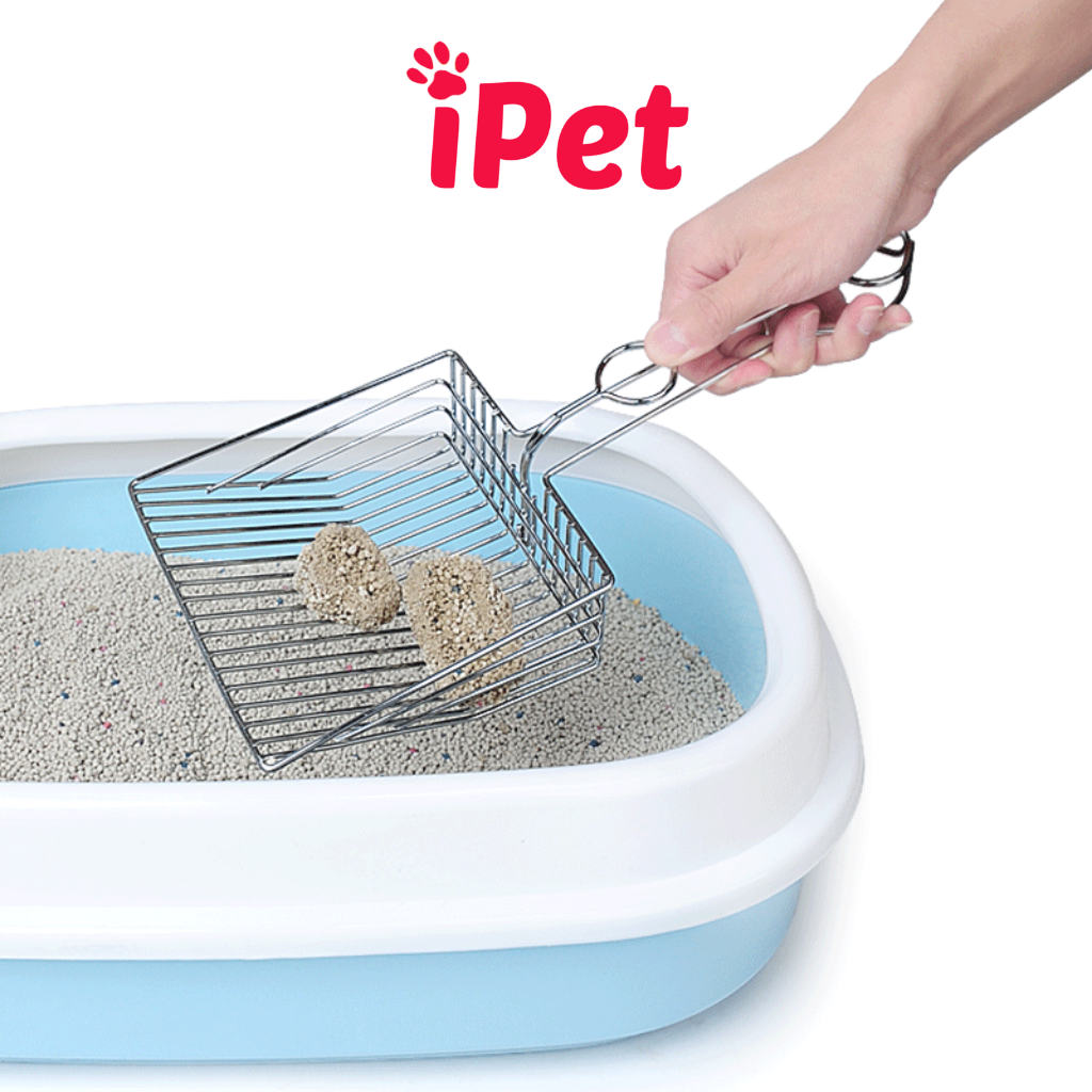 Xẻng Xúc Cát Vệ Sinh Hốt Phân Inox Siêu To Cho Mèo - iPet Shop