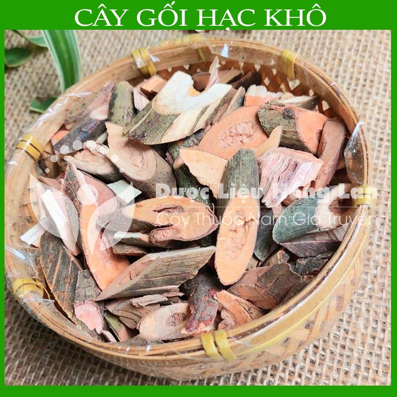 Cây Gối Hạc khô sạch đóng gói 500g - Công Ty Dược Liệu Hồng Lan