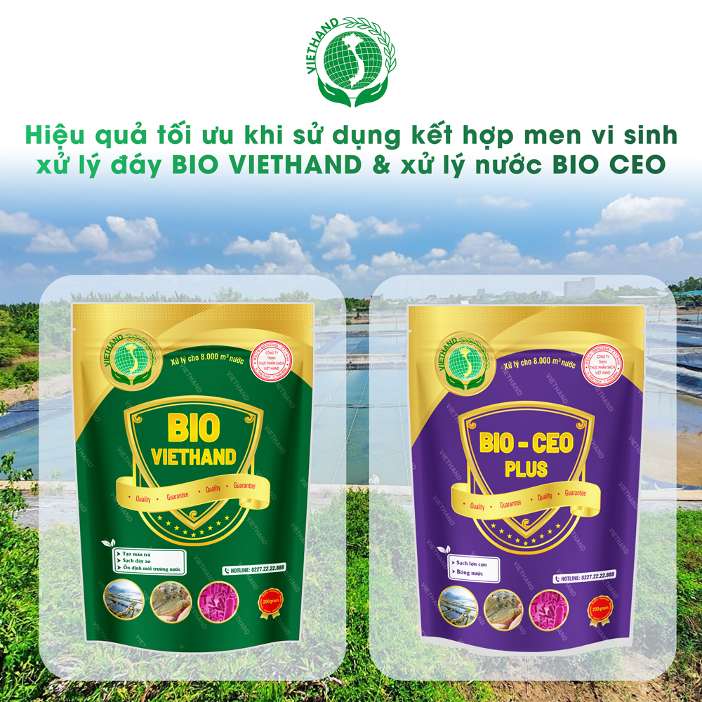 Men vi sinh Việt Hand Xử Lý Đáy Cho Ao Nuôi Thủy Sản Bio Viethand - VIETHAND 200g