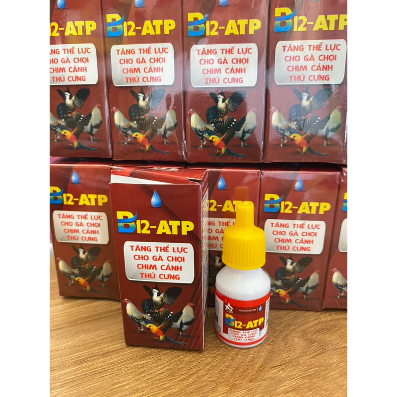B12 ATP tăng lực gà đá, chim, thú cưng