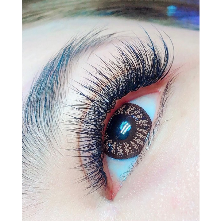 Fan 6D Mi Hoa Sơn Trà