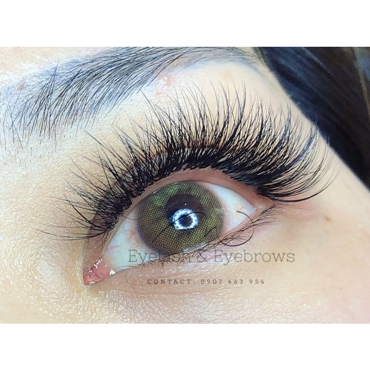 Fan 6D Mi Hoa Sơn Trà