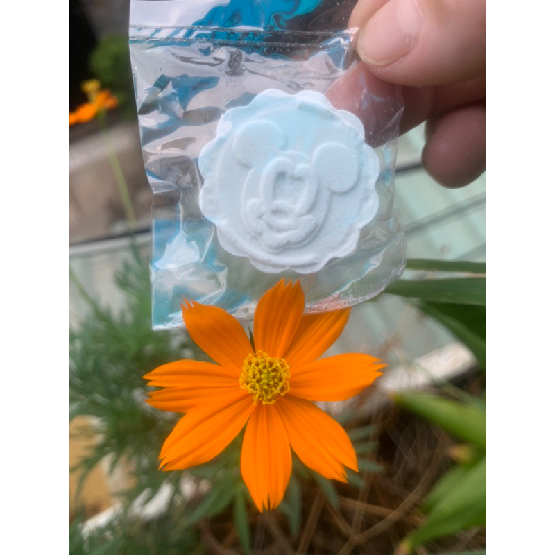 Bánh bột linh đặc sản bình địnhcombo 25cai-BigLove