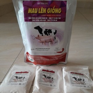 Mau lên giống cho trâu bò