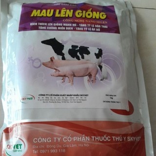 mau lên  giống  cho trâu  bò (1kg)