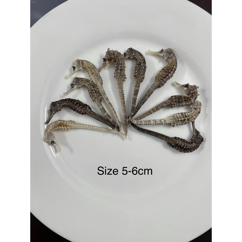 2 con Cá Ngựa Khô Size 5cm - 6cm