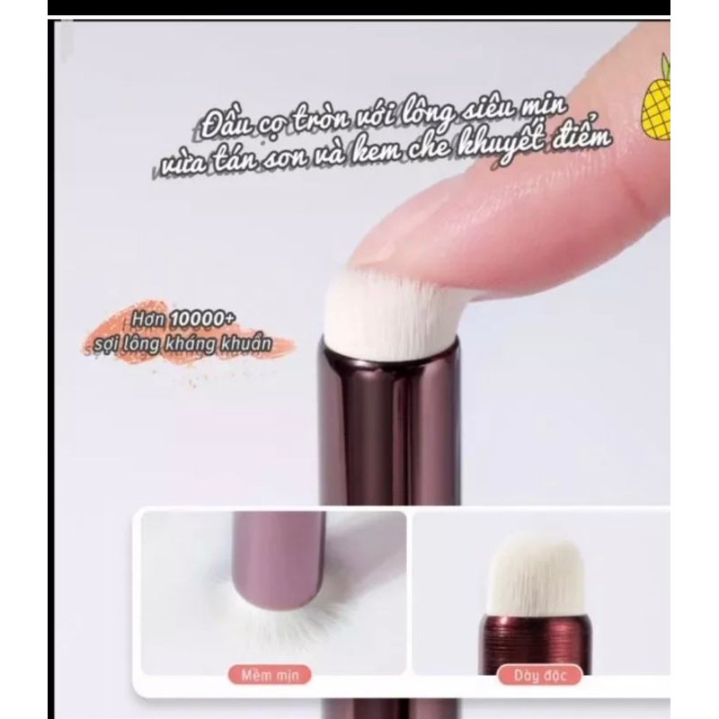 Cọ tán son môi đầu tròn nội địa trung C201 Azura Beauty