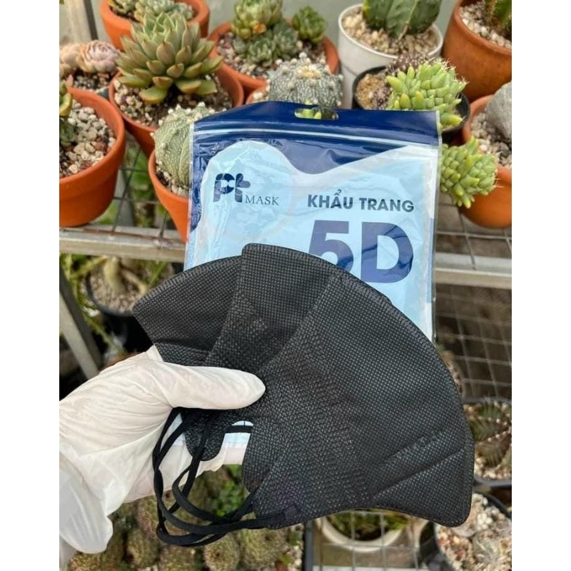 10 cái Khẩu trang y tế 5D mask Phương Tuyến màu đen 4 lớp