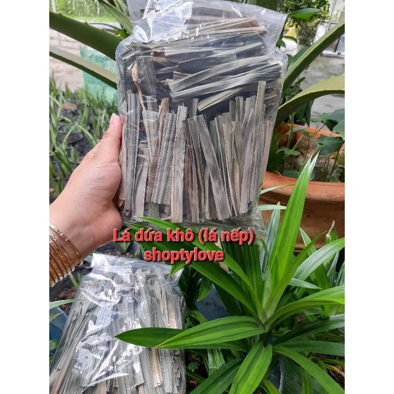 100gr lá dứa khô (lá nếp thơm)