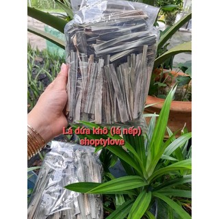 100gr lá dứa khô (lá nếp thơm)