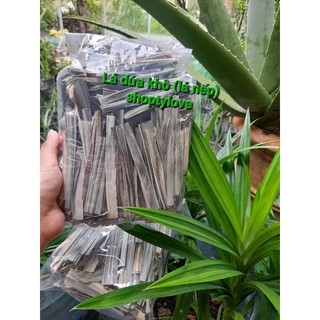 100gr lá dứa khô (lá nếp thơm)