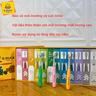 BỘ 12 CHIẾC BÀN CHẢI THƯỜNG ( hộp 12 chiếc )