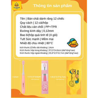 BỘ 12 CHIẾC BÀN CHẢI THƯỜNG ( hộp 12 chiếc )