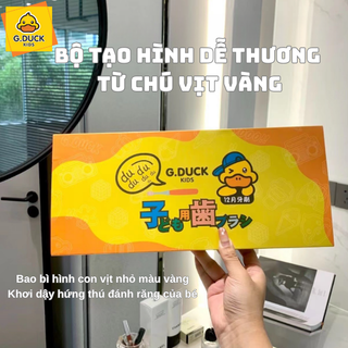 BỘ 12 CHIẾC BÀN CHẢI THƯỜNG ( hộp 12 chiếc )