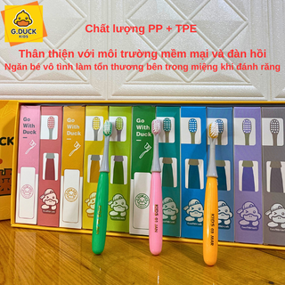 BỘ 12 CHIẾC BÀN CHẢI THƯỜNG ( hộp 12 chiếc )