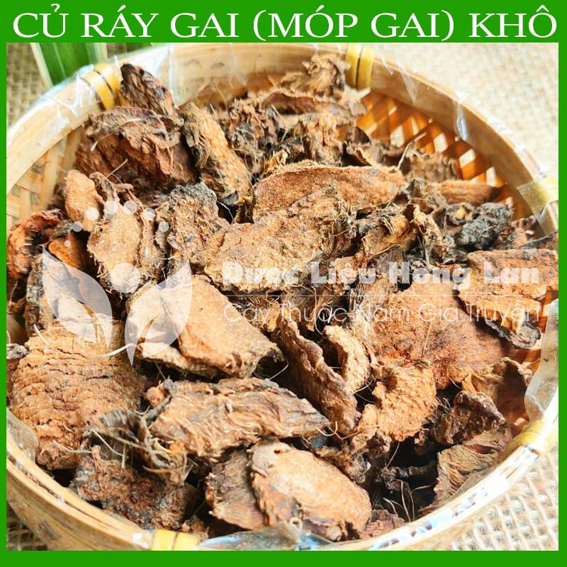 Thảo dược CỦ RÁY GAI (MÓP GAI) khô sạch đóng gói 500gram - congtyduoclieuhonglan