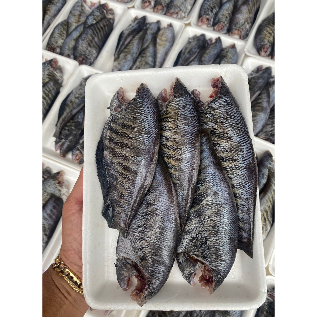 Cá Sặc bổi 1 nắng (Hàng lạt vừa ăn) - Size 10 con/kg - Đặc sản Cà Mau - Ship hỏa tốc HCM