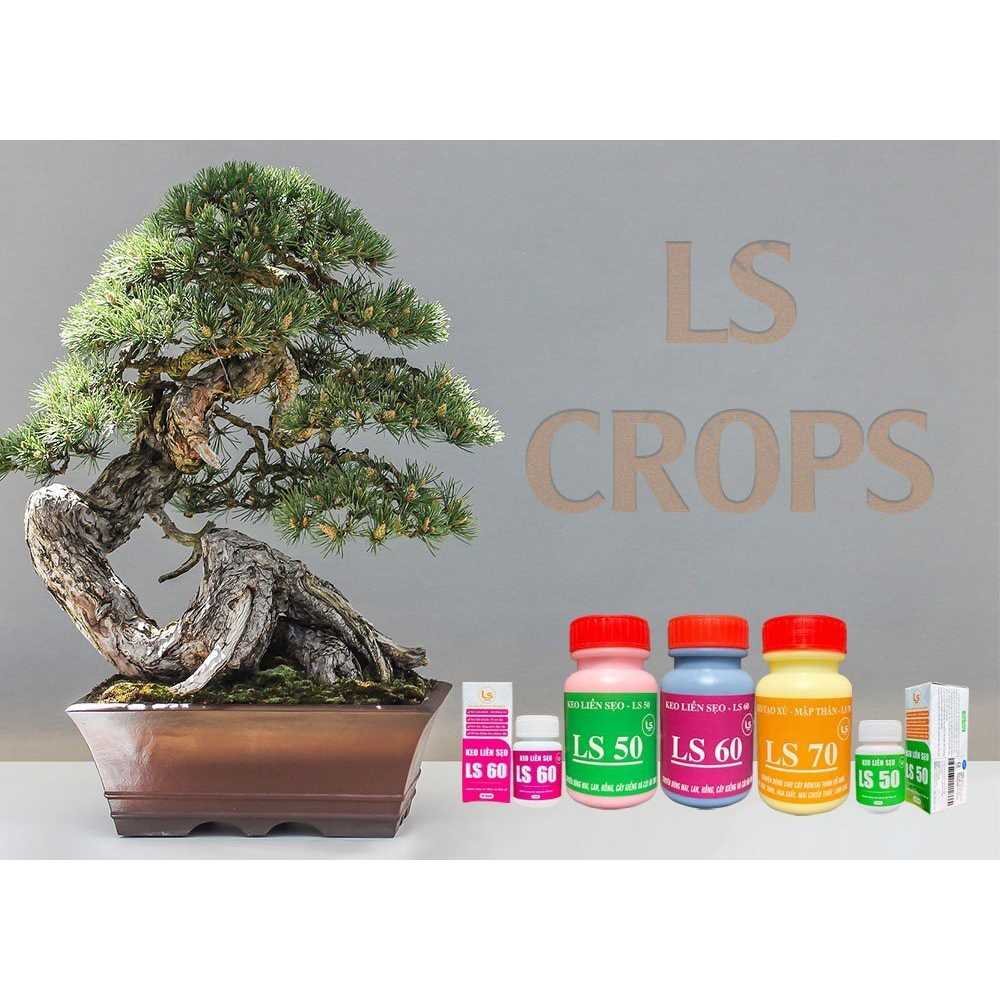 Keo Liền Sẹo Cao Cấp LS 60 - Hũ 25Gr Kéo Sẹo Nhanh, Diệt Khuẩn, Bảo Vệ Cây Trồng