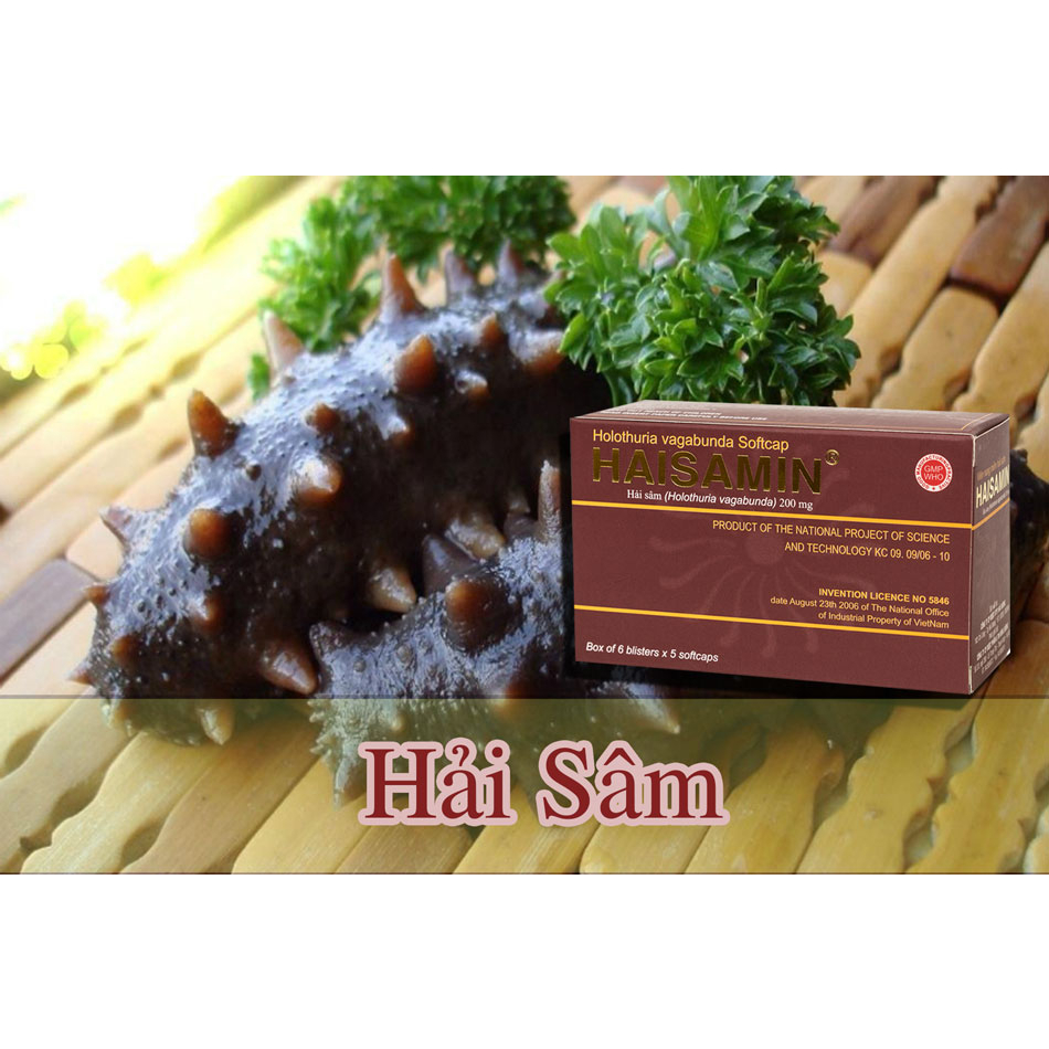 Viên uống tăng cường sinh lực từ Hải sâm Haisamin hộp 30 viên chính hãng