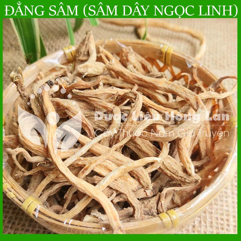 ✅ 1kg Đẳng Sâm (Sâm Dây Ngọc Linh) khô - Hàng chính hãng Công Ty