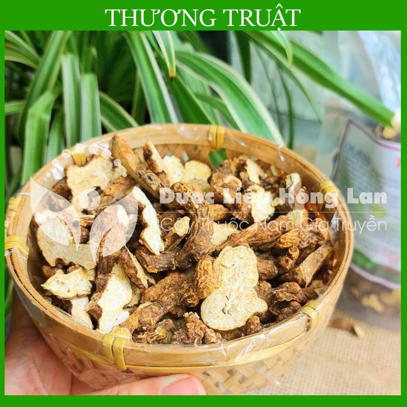 Thương Truật khô đẹp loại 1