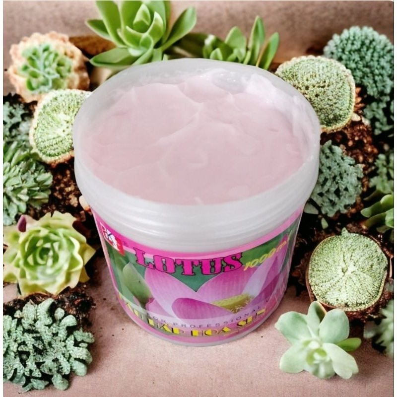 Hấp Dầu Hoa Sen 1000ml