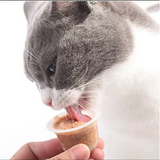 Pate Pudding ding dưỡng cho Chó Mèo(lẻ 1 viên)