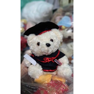 gấu bông tốt nghiệp