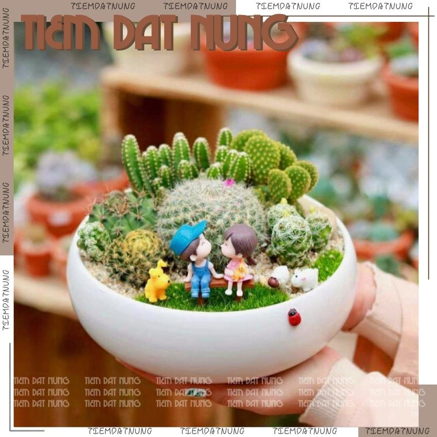 Chậu gốm sen đá, xương rồng, cây sen đá mini - Chậu sứ ang bo tròn Bát Tràng