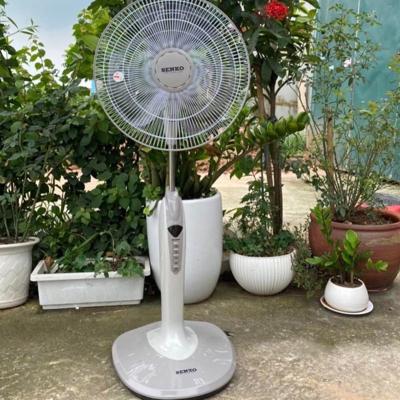 ☘️Quạt Cây SENKO DD1602 HÀNG CHÍNH HÃNG BẢO HÀNH 24 THÁNG