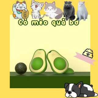 Catnip ball - Viên cỏ bạc hà dán tường cho mèo giúp mèo thư giãn, làm sạch răng | Benben Petshop